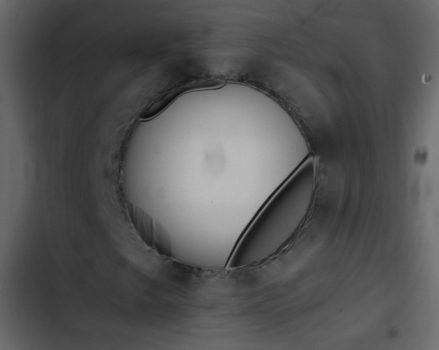 X0000102821249200809021242
