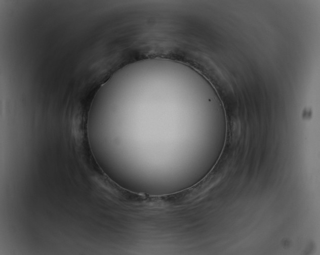 X0000102821250200809021242
