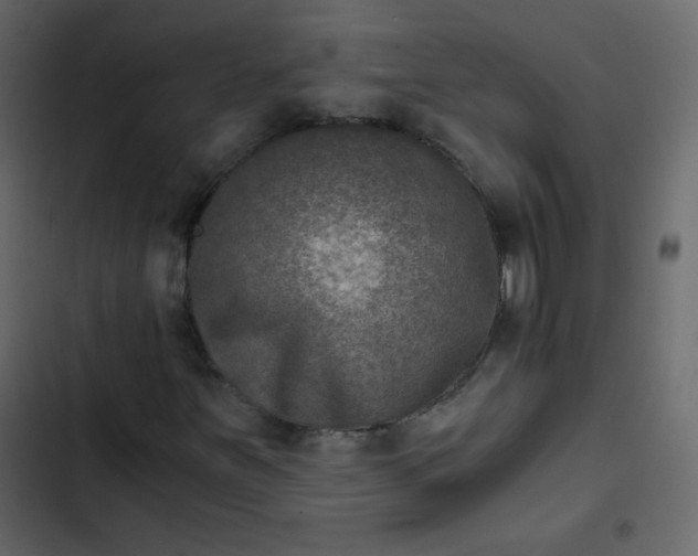 X0000102821251200809021242