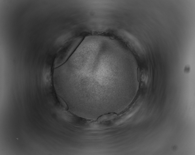 X0000102821252200809021242