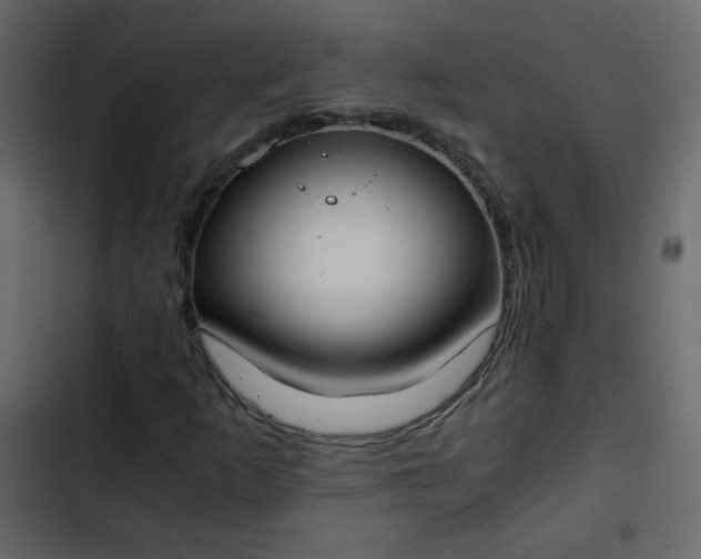 X0000102821253200809021242