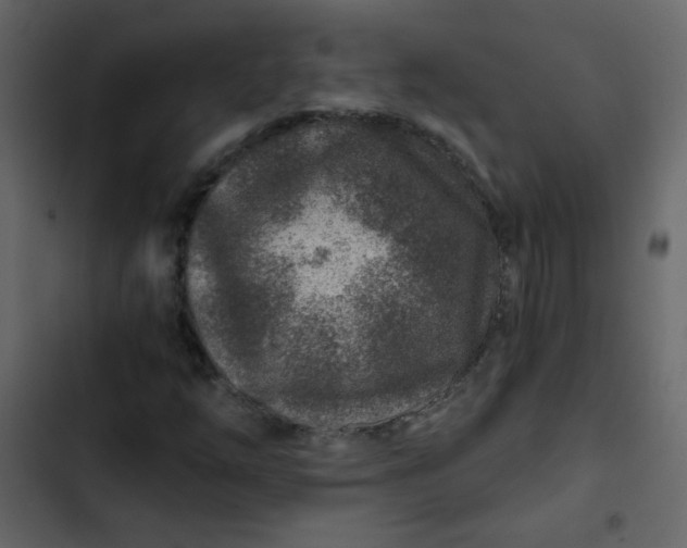 X0000102821254200809021242