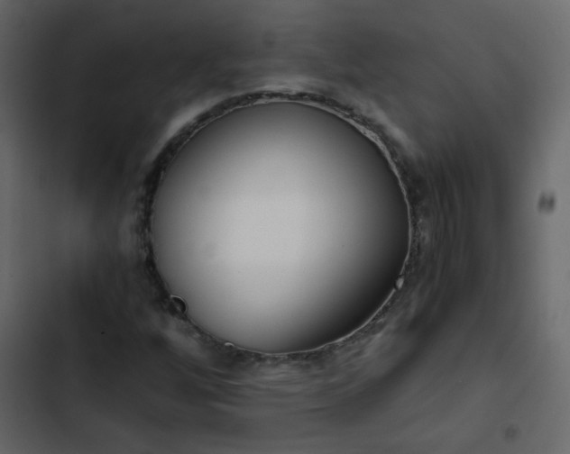 X0000102821256200809021242