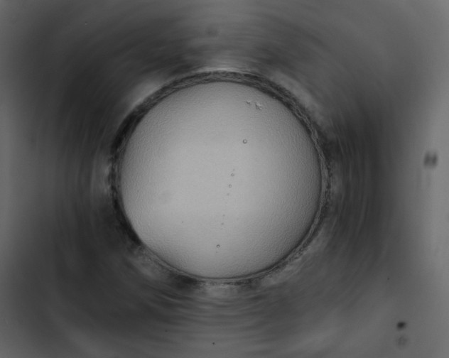 X0000102821258200809021242