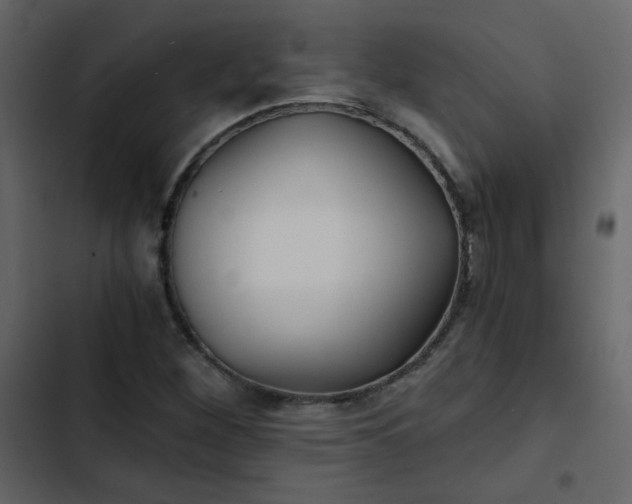 X0000102821260200809021242