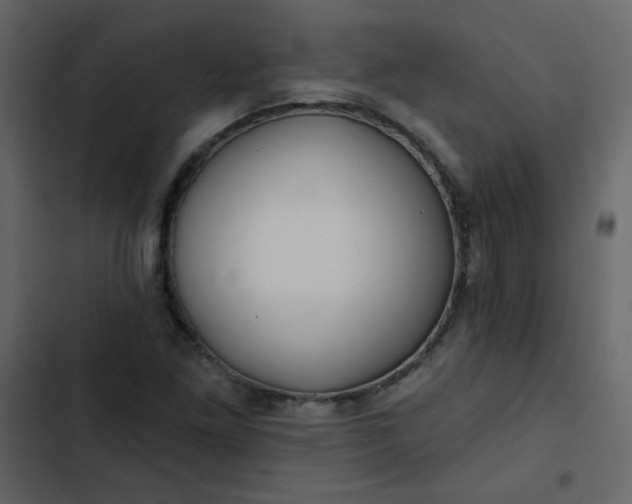 X0000102821261200809021242