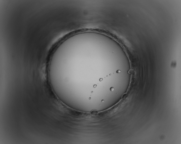 X0000102821262200809021242
