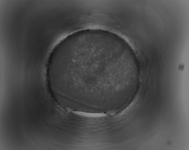 X0000102821263200809021242