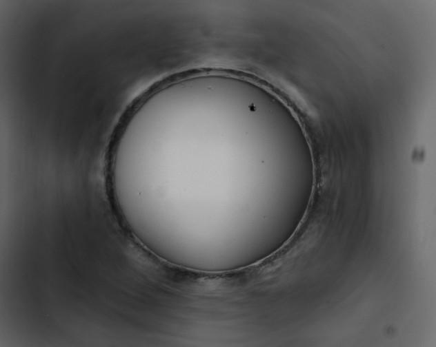 X0000102821264200809021242