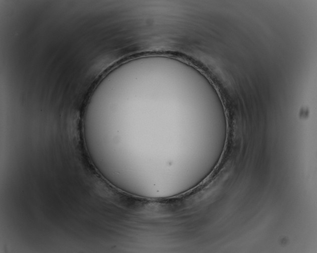 X0000102821265200809021242