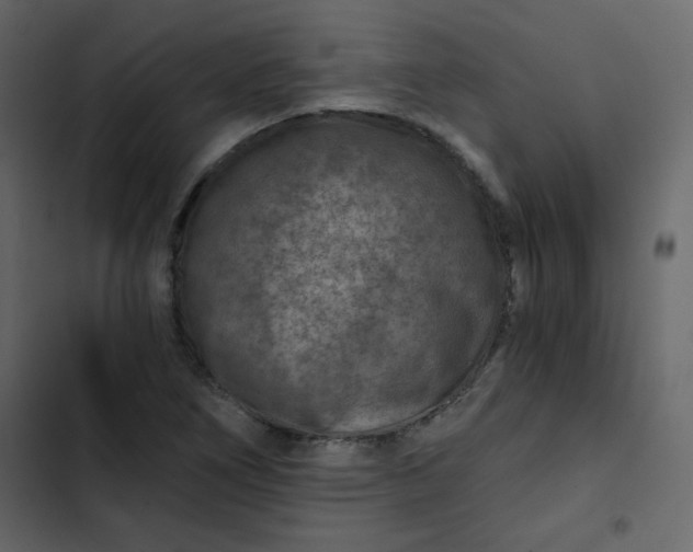 X0000102821266200809021242