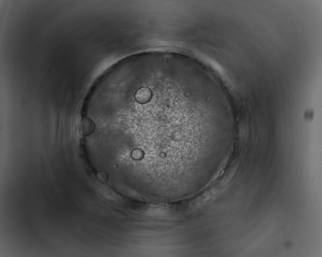 X0000102821267200809021242