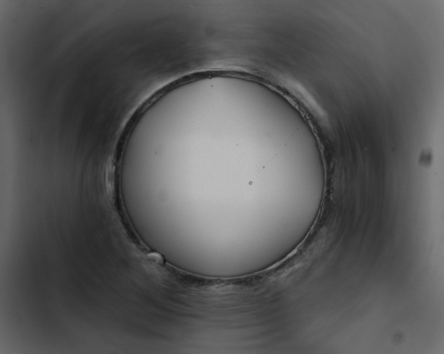 X0000102821268200809021242