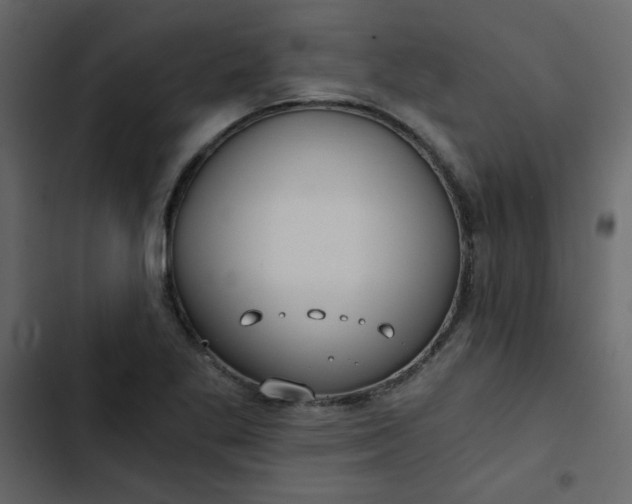 X0000102821269200809021242