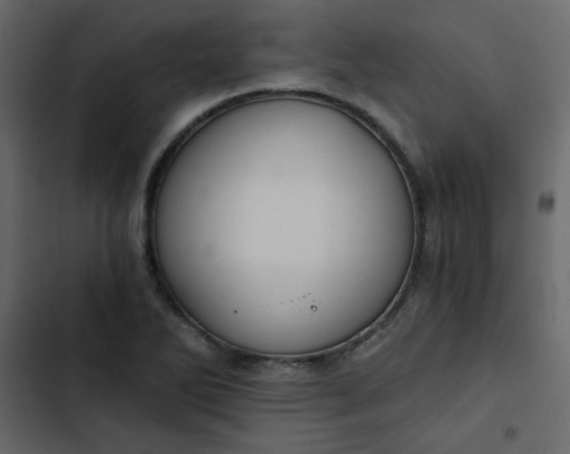 X0000102821270200809021242