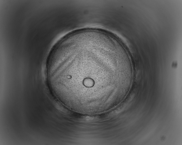 X0000102821271200809021242