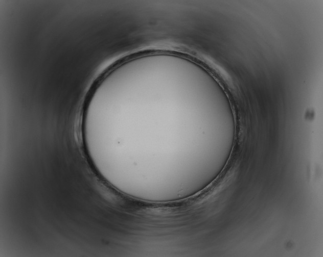 X0000102821272200809021242