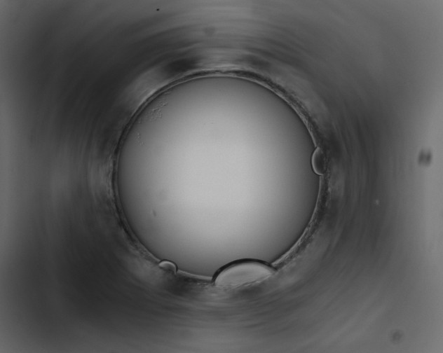 X0000102821273200809021242