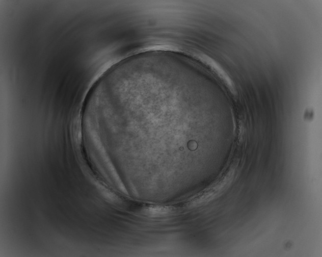 X0000102821274200809021242