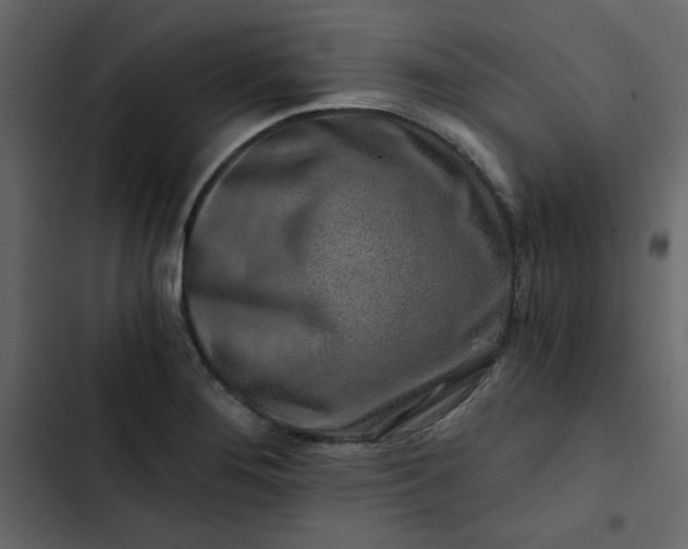 X0000102821276200809021242