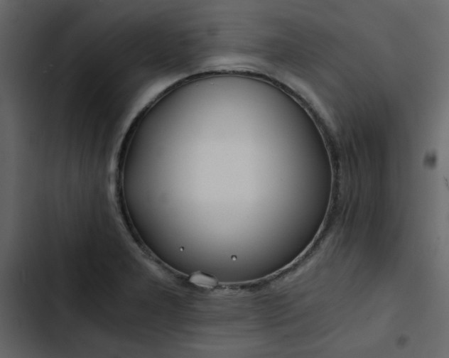 X0000102821277200809021242