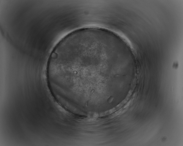 X0000102821279200809021242