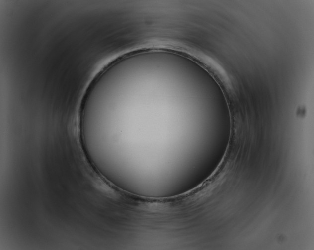X0000102821280200809021242