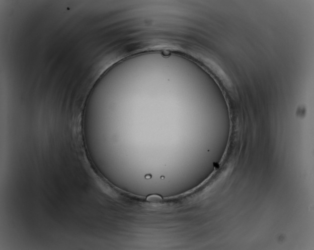 X0000102821281200809021242
