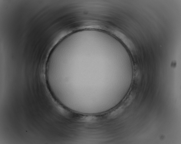 X0000102821282200809021242