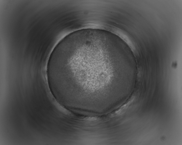 X0000102821283200809021242
