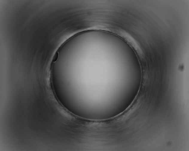 X0000102821284200809021242