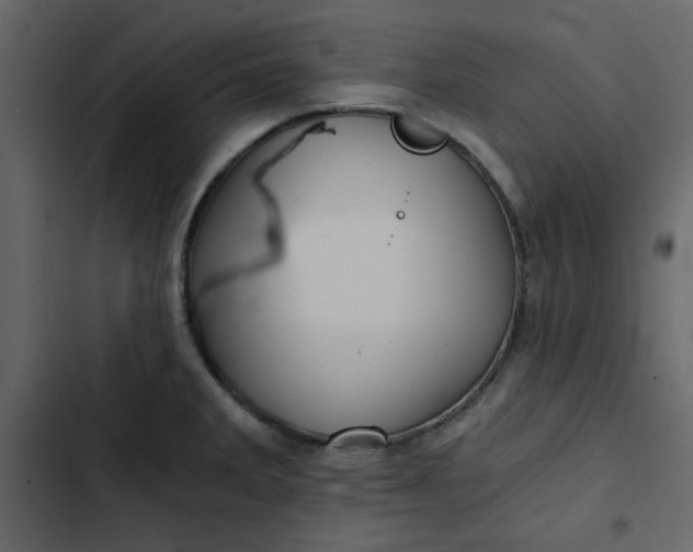 X0000102821285200809021242