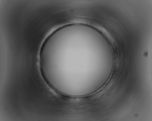 X0000102821286200809021242