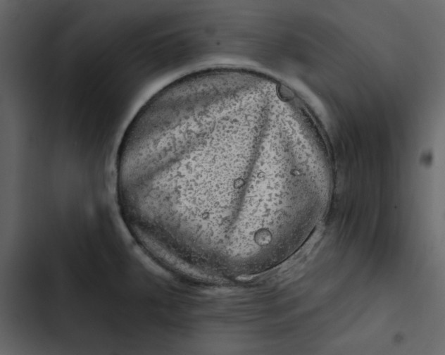 X0000102821287200809021242