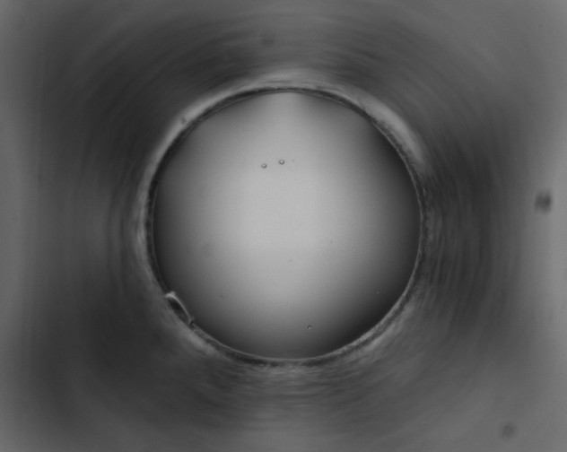 X0000102821288200809021242