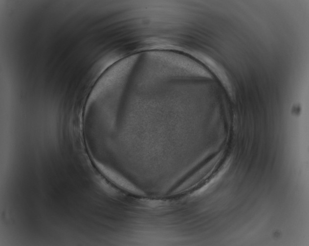 X0000102821289200809021242