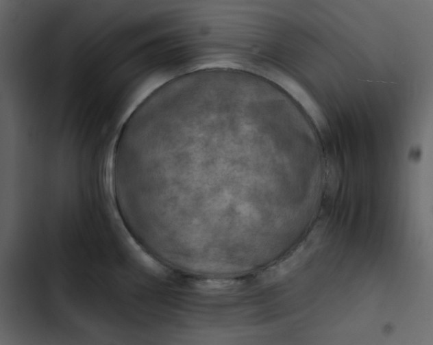 X0000102821290200809021242
