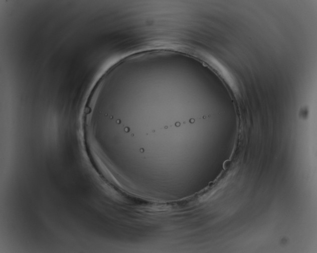 X0000102821291200809021242