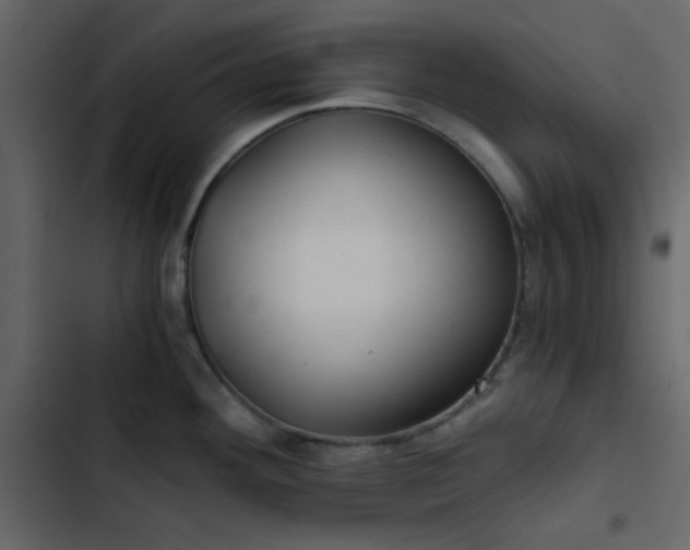 X0000102821292200809021242