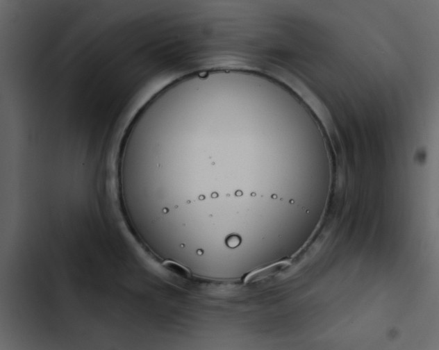 X0000102821293200809021242