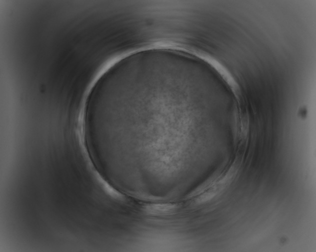 X0000102821294200809021242