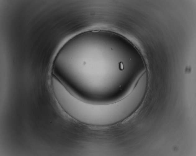 X0000102821296200809021242