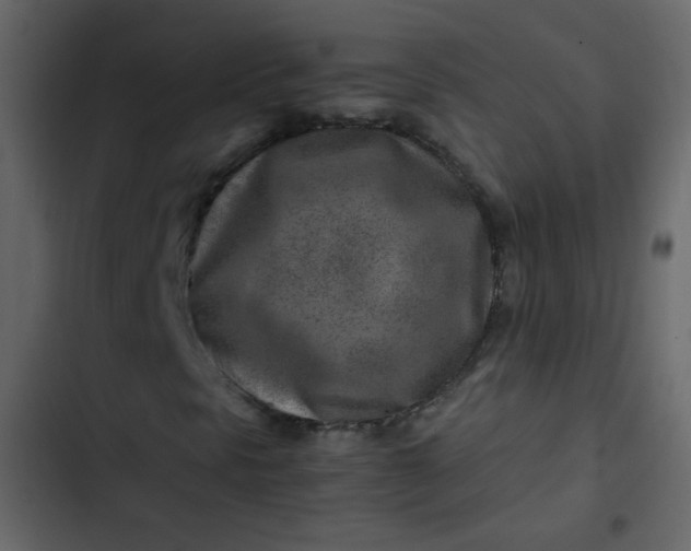 X0000102821297200809021241