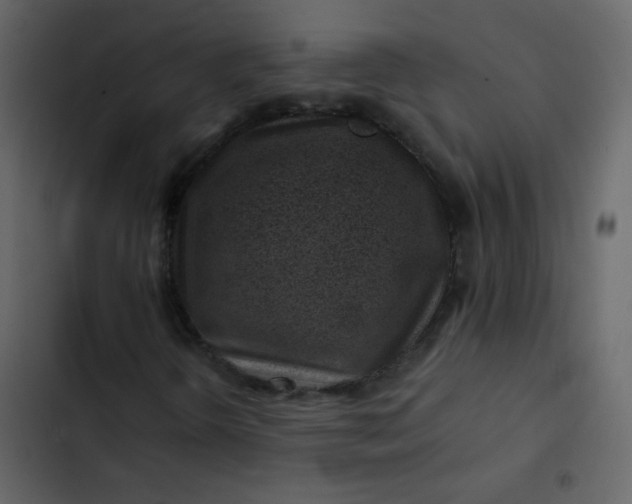 X0000102821298200809021241