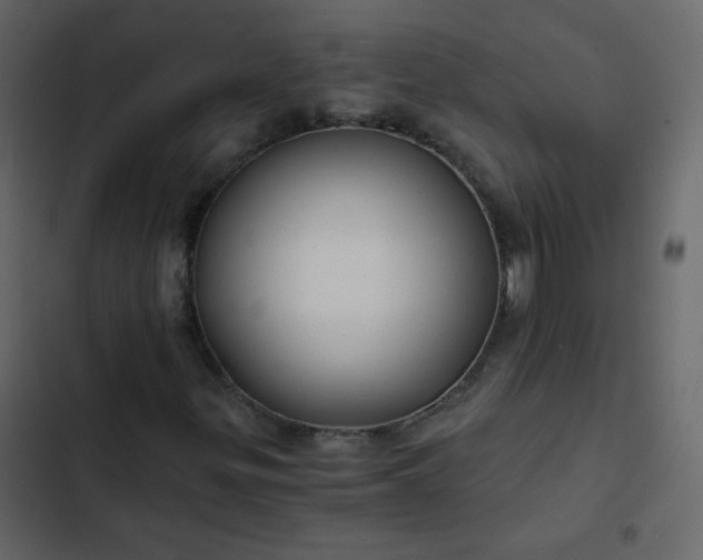 X0000102821299200809021241