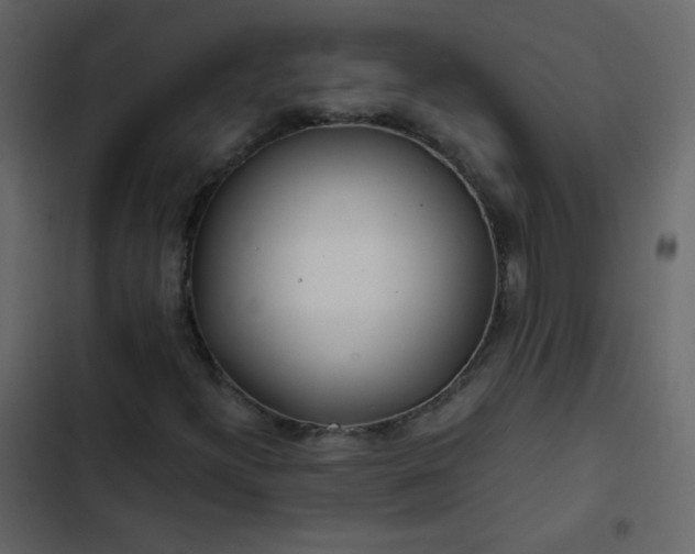 X0000102821300200809021241