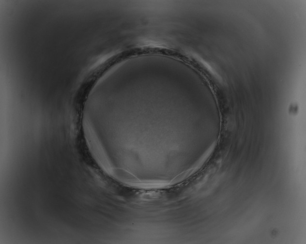 X0000102821303200809021241