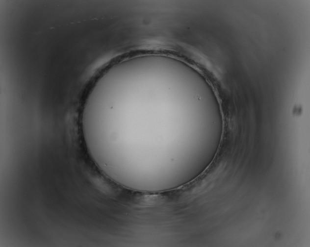 X0000102821304200809021241