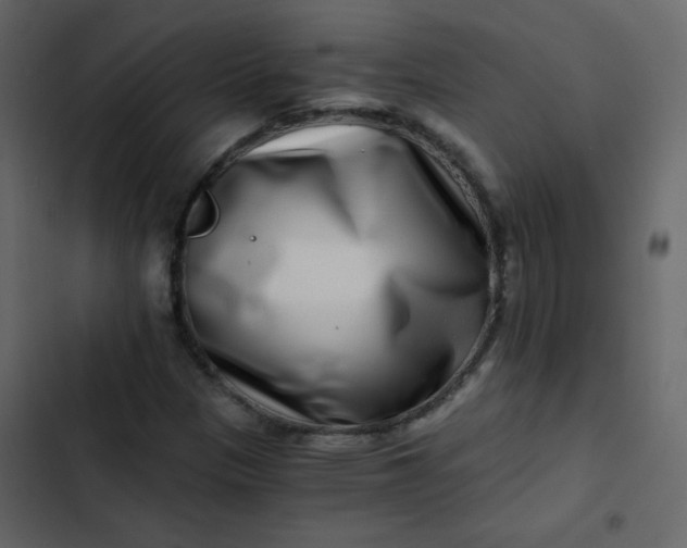X0000102821305200809021241