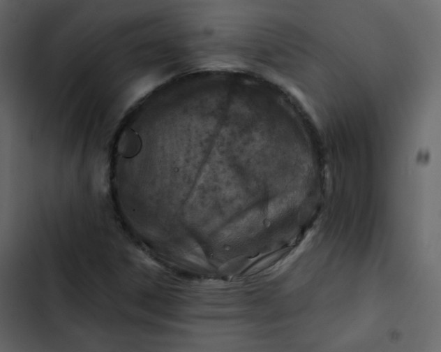X0000102821306200809021241